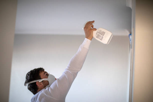 Best Best Mold Removal Companies  in Drain, OR